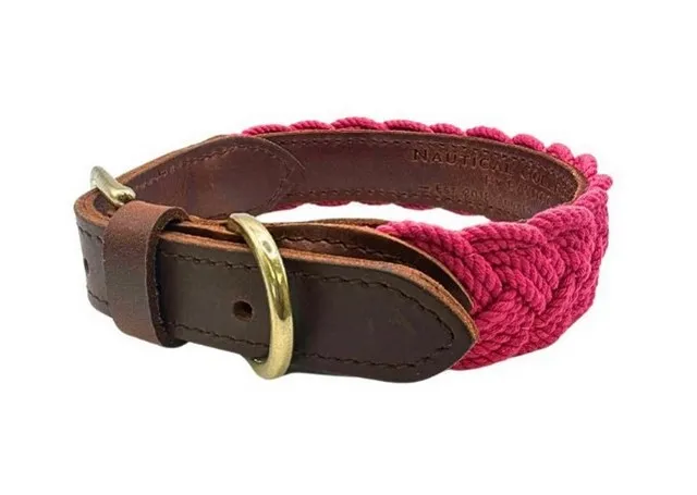 1ea Baydog Small Pink Lily Seaside Collar - Hard Goods